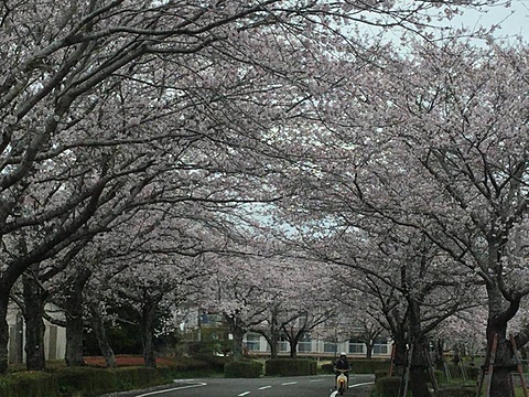 宮崎県　都城　曽於市　住宅建築　マイホーム　注文住宅　木造　